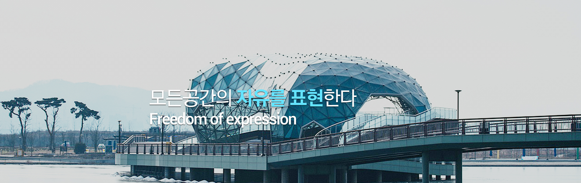 모든공간의 자유를 표현한다 Freedom of expression